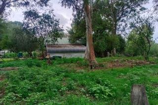 Commercial Property for Sale in Koppies Rural Free State